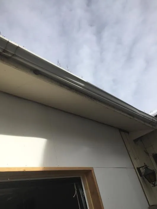 Slide of American Roof Scapes