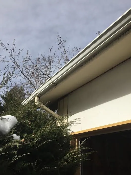 Slide of American Roof Scapes