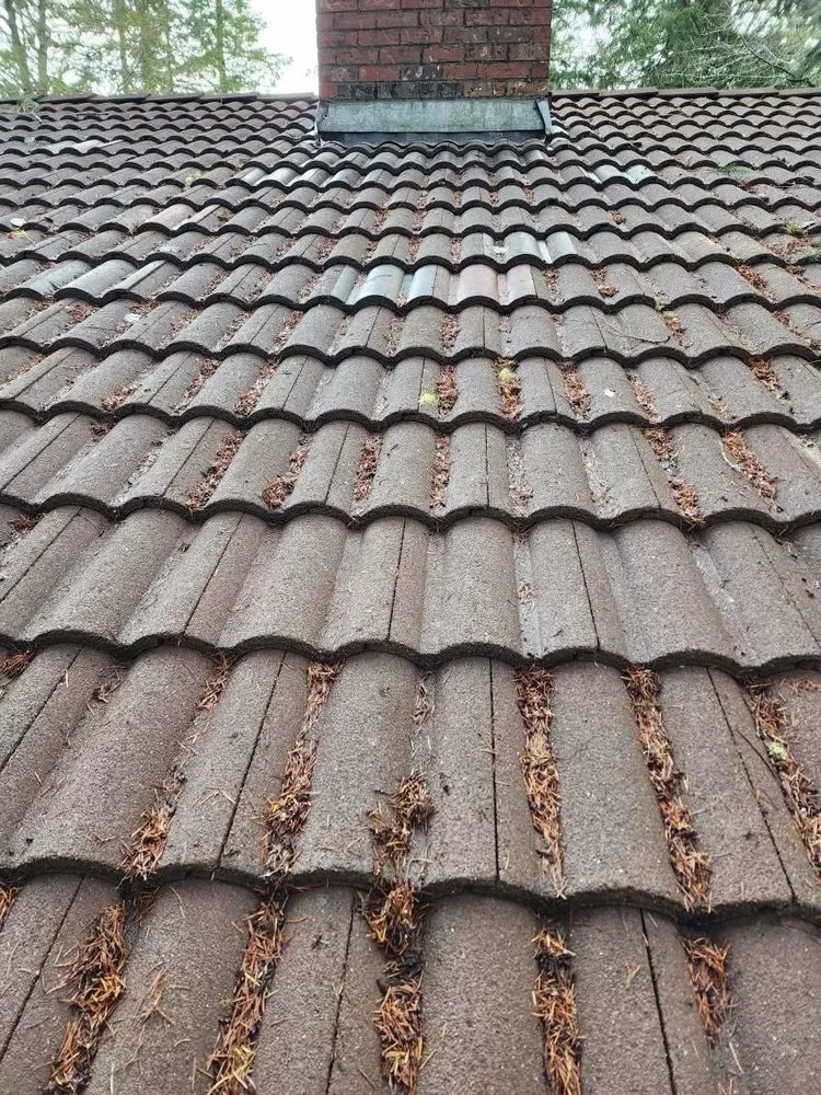 Slide of American Roofing & Construction