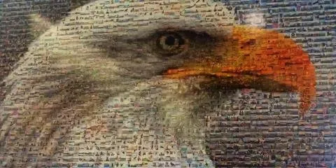 Slide of American Roofing