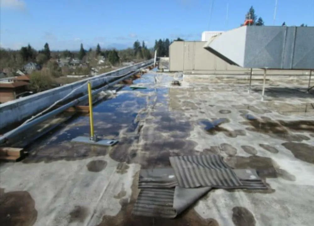 Slide of American Roofing and Paving