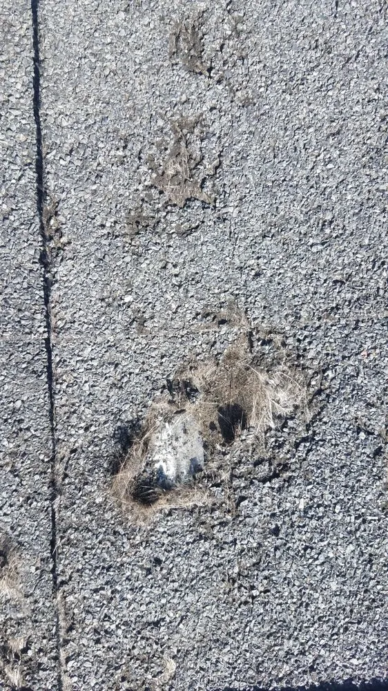 Slide of American Roofing and Restorations