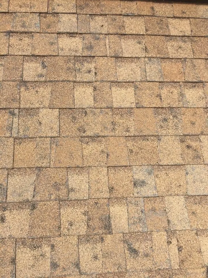 Slide of American Roofing Services DFW