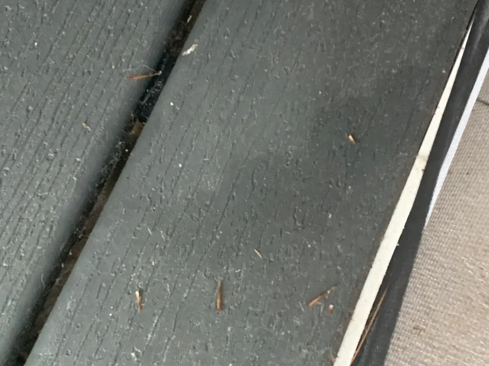 Slide of American Sentry Solar