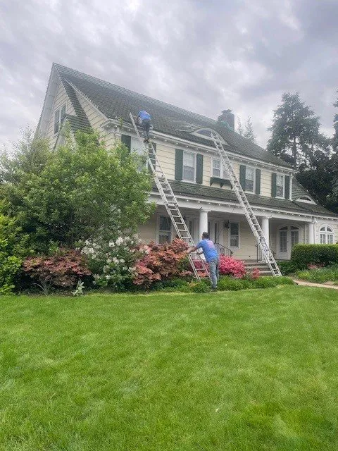 Slide of American Son's Professional