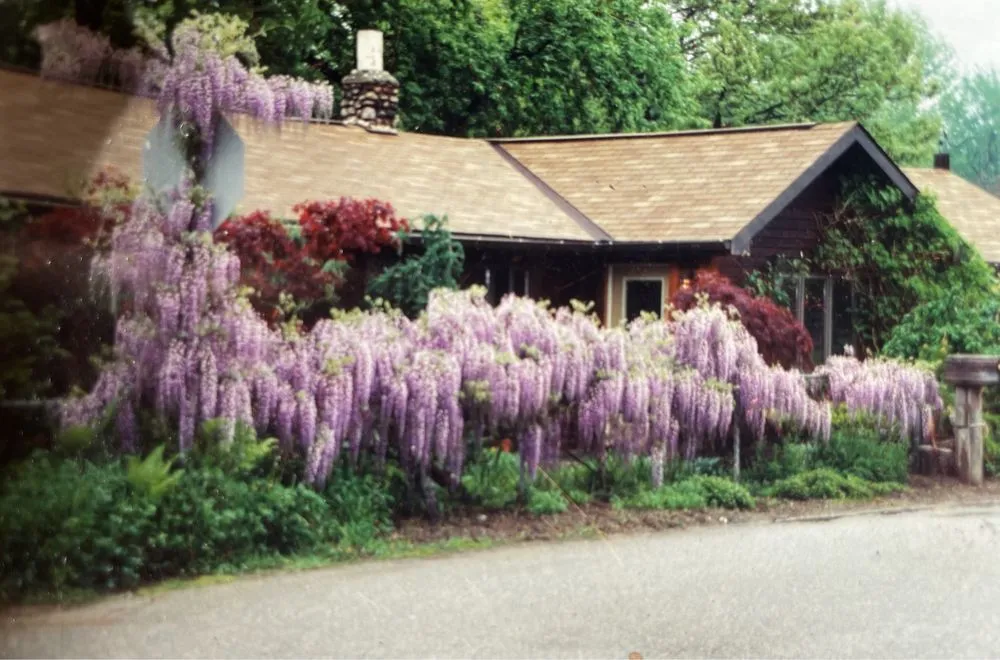 Slide of American Standard Roofing