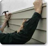 Slide of American Vinyl