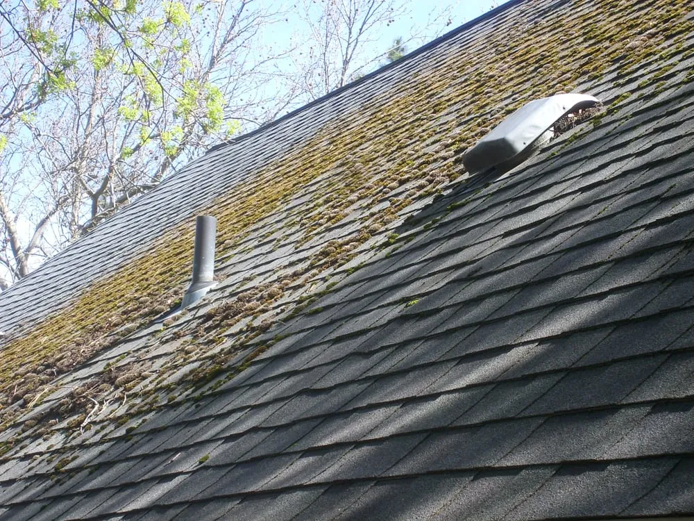 Slide of American West Roofing