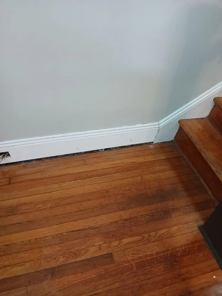 Emergency flat roof repair same-day service in Ford, VA by Americas Affordable Handyman