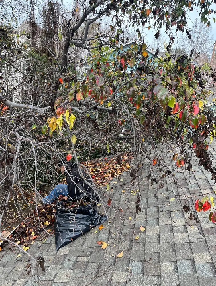 Slide of America’s Family Roofing