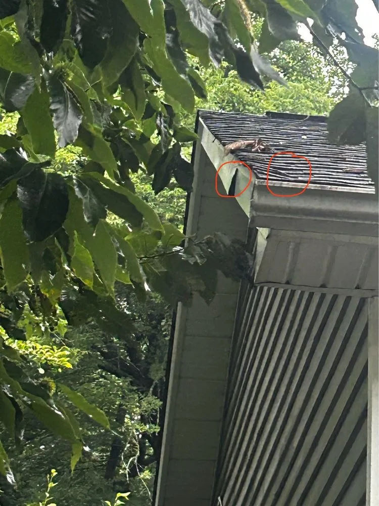 Slide of AmeriPro Roofing