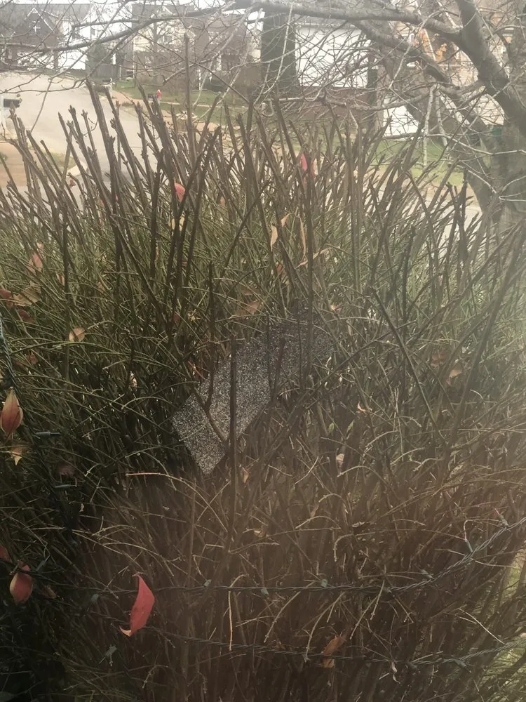 Slide of AmeriPro Roofing