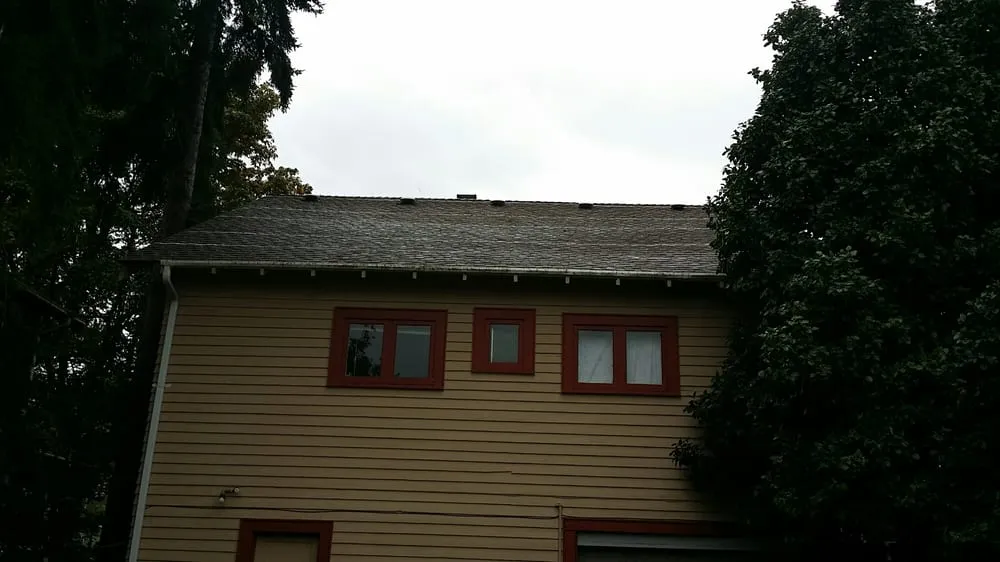 Slide of Amigo Gutters