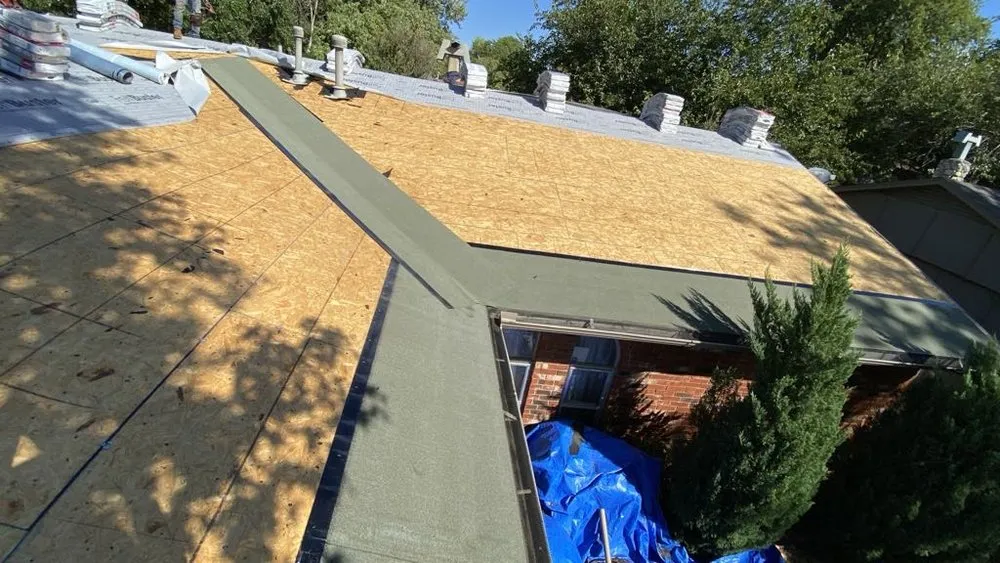 Slide of Amigo the handyman