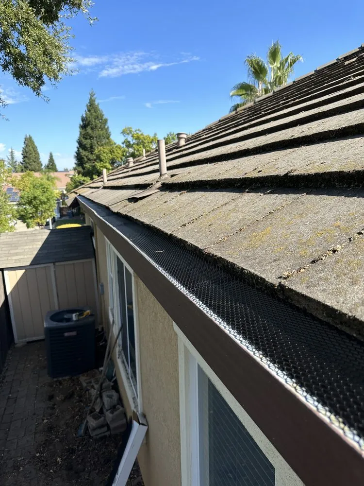 Slide of Amor Fati Fixers