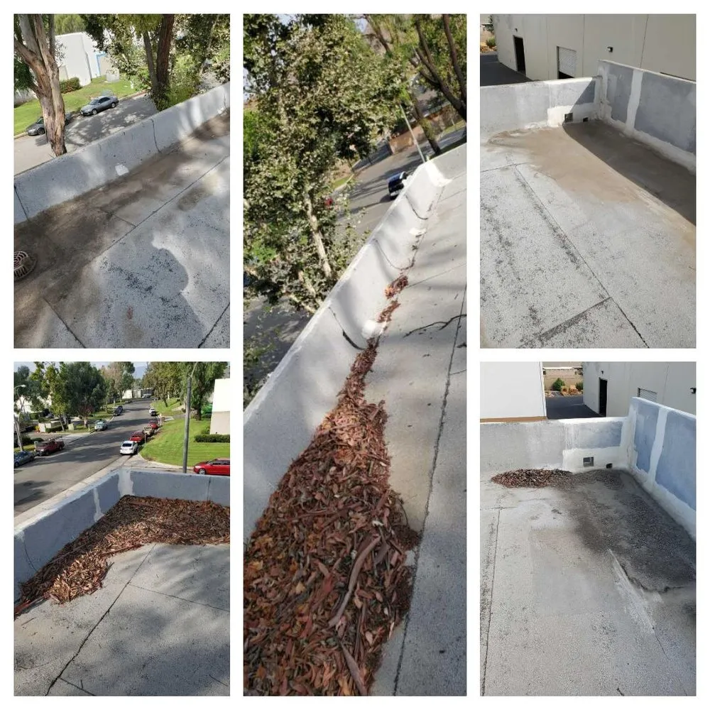 Slide of AMS Commercial