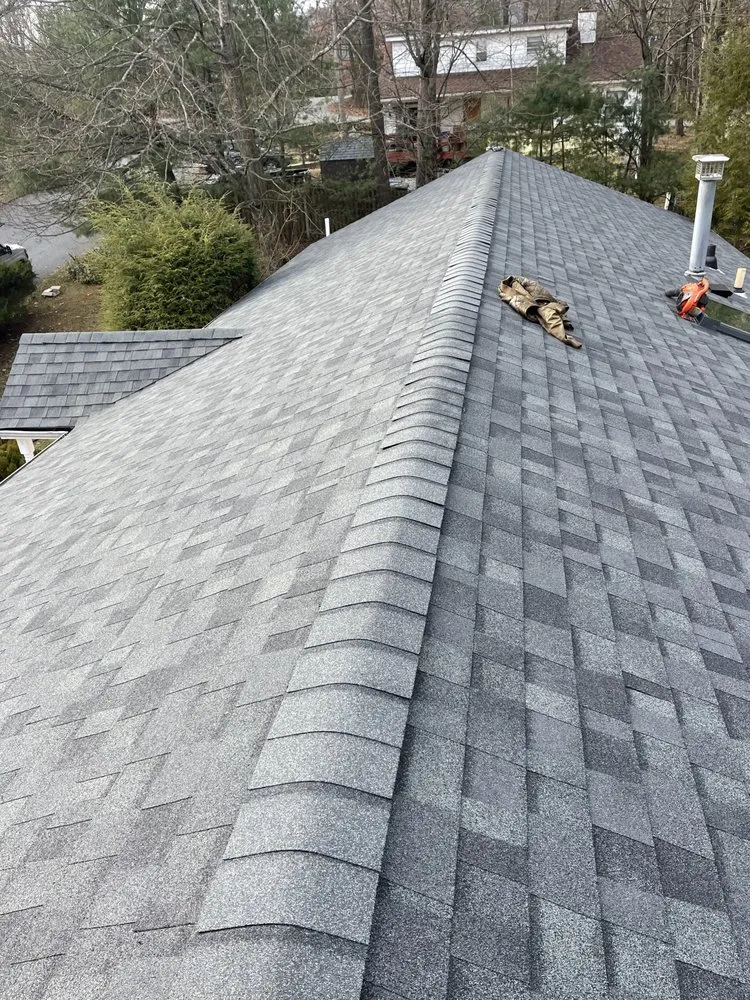 Slide of Amsterdam roofing experts