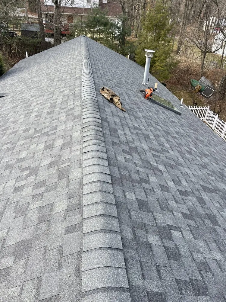 Slide of Amsterdam roofing experts