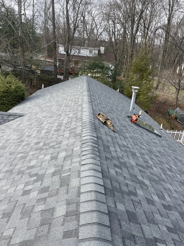 Slide of Amsterdam roofing experts