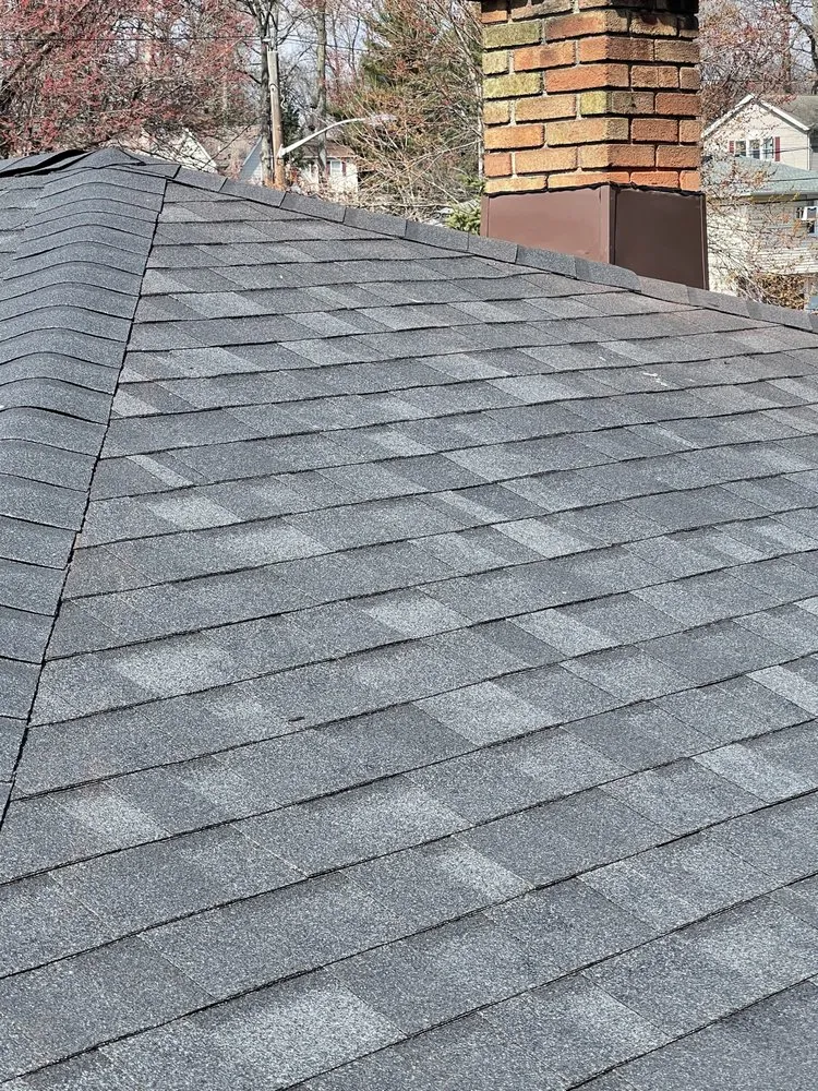 Slide of Amsterdam roofing experts