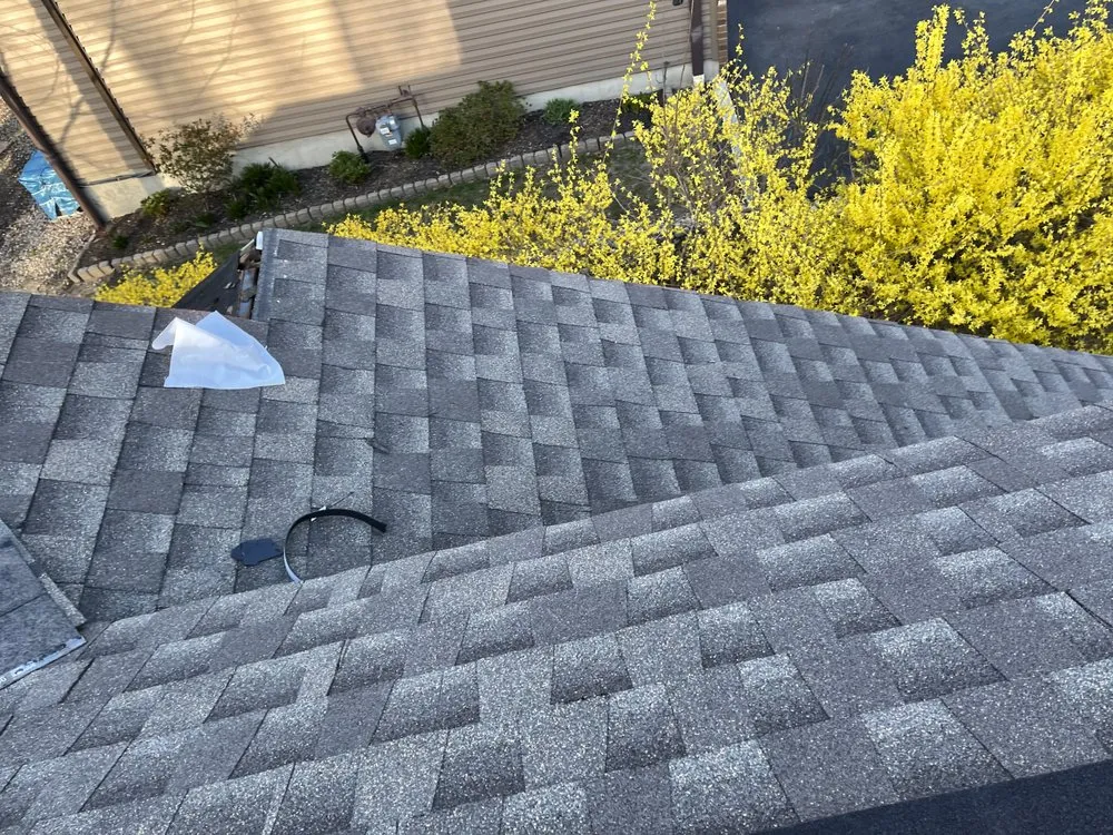 Slide of Amsterdam roofing experts