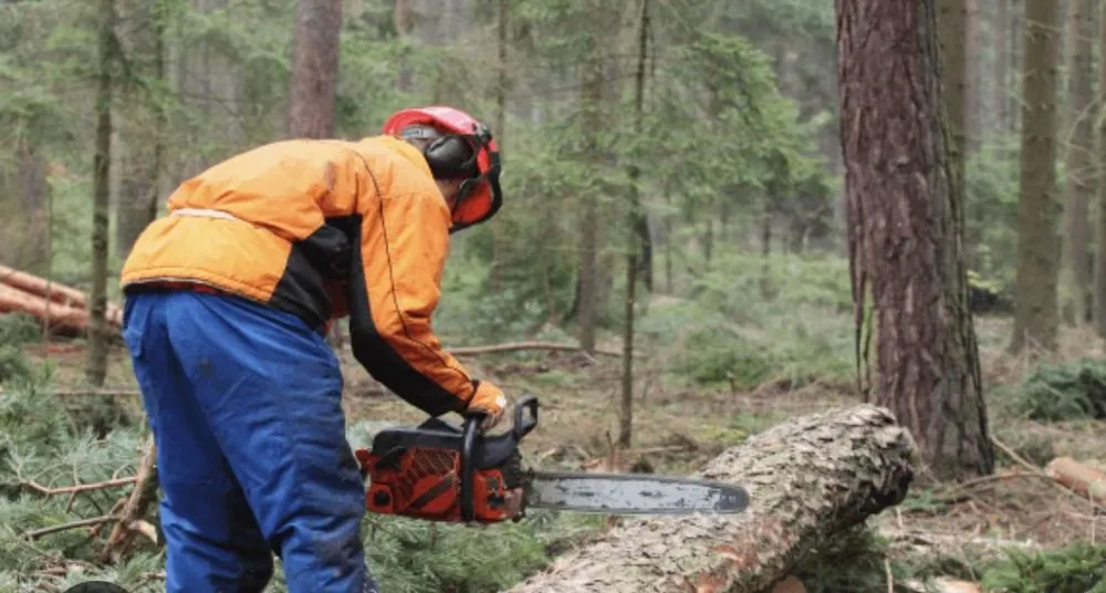 Slide of A&N East Bay Repairs Roofing and Tree Services