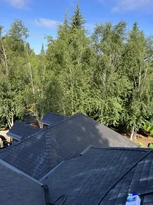 Anchor roof maintenance Logo