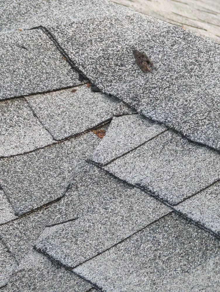 Local roof inspection experts serving St. Petersburg, FL - Anchor Roofing of Florida