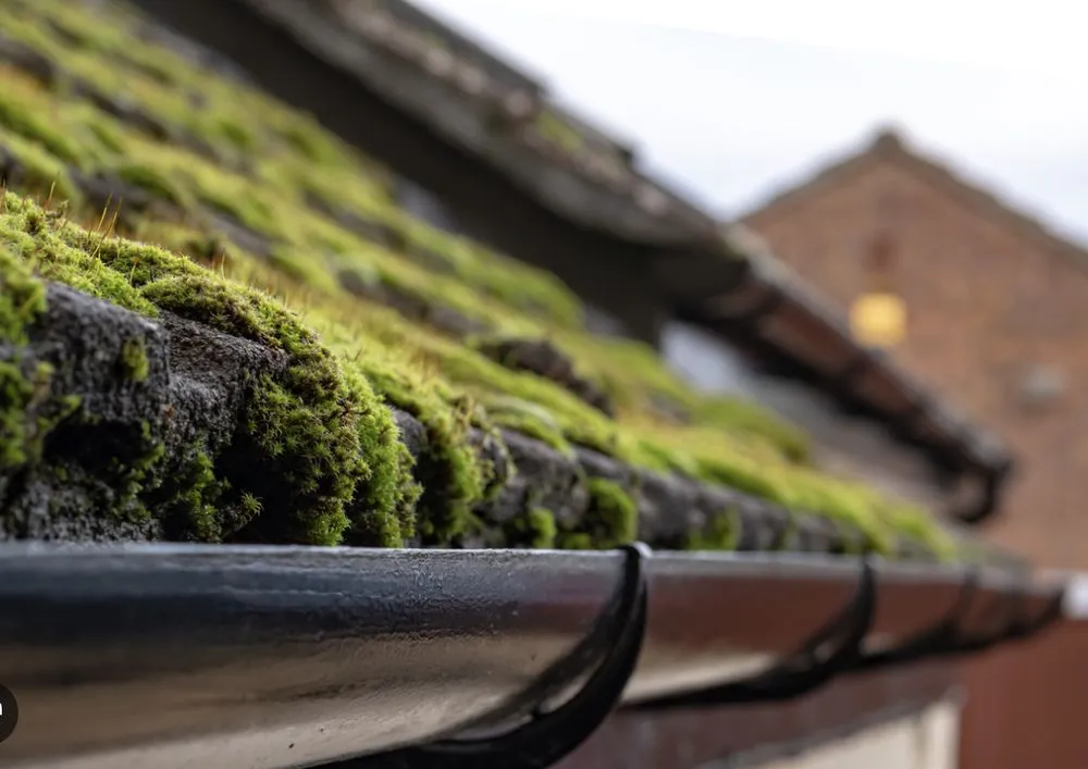 Slide of Anchored Solutions