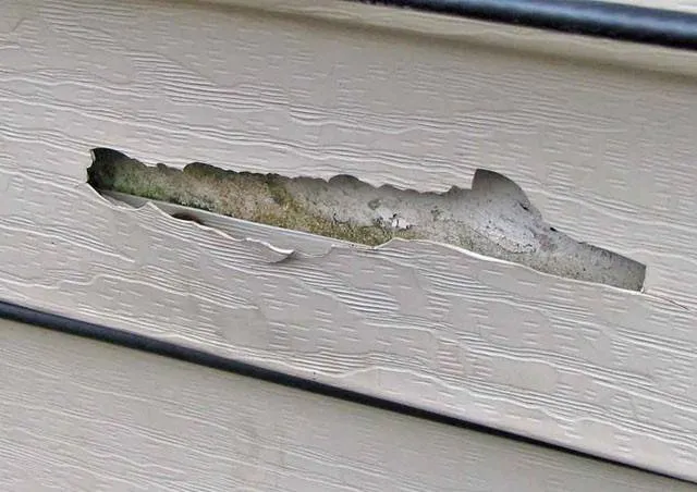 Slide of Anderson Restoration