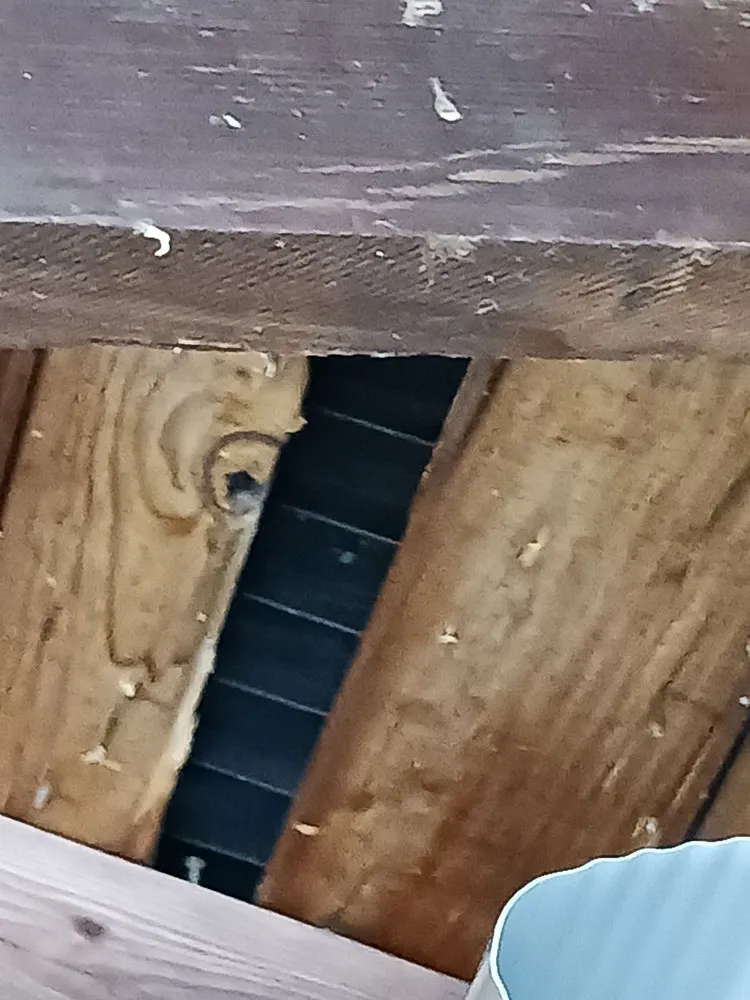 Slide of Andes Roofing