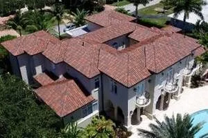 Slide of Andrew Palmer