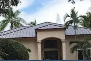 Slide of Andrew Palmer