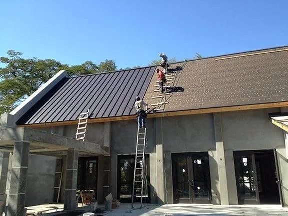 Slide of Andrew Palmer