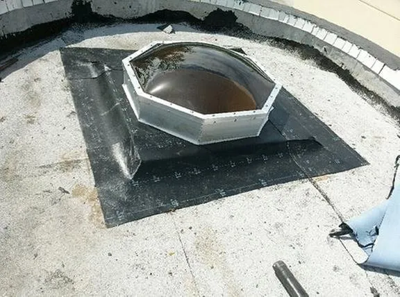 Slide of Andrew Palmer