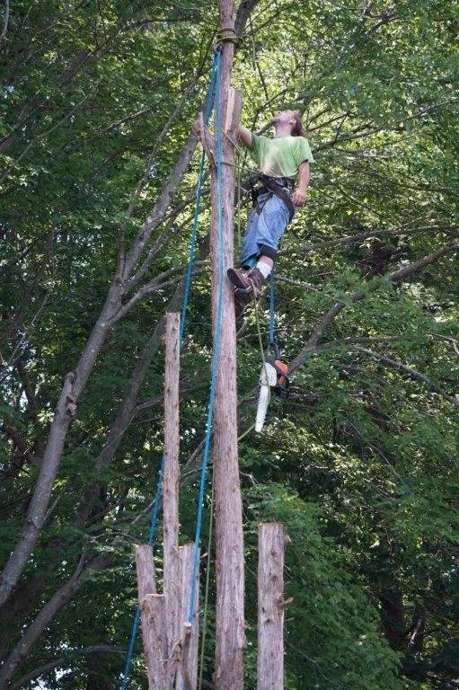 Slide of Andrews Roofing & Tree Service