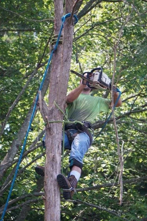 Slide of Andrews Roofing & Tree Service