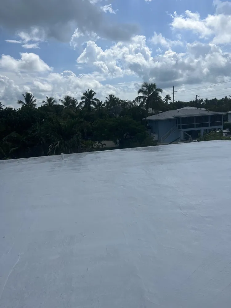 Slide of Andy The Roofer & Co