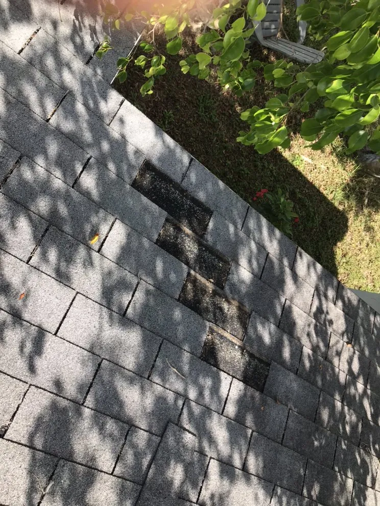 Slide of Andy The Roofer & Co