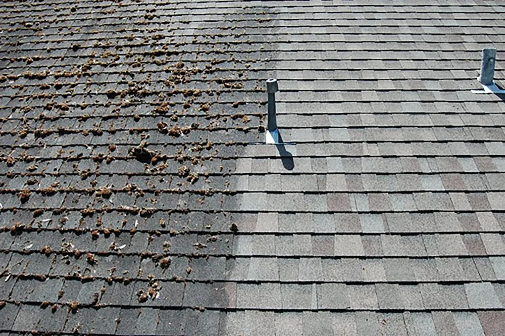 Slide of Angelo’s Exterior Cleaning