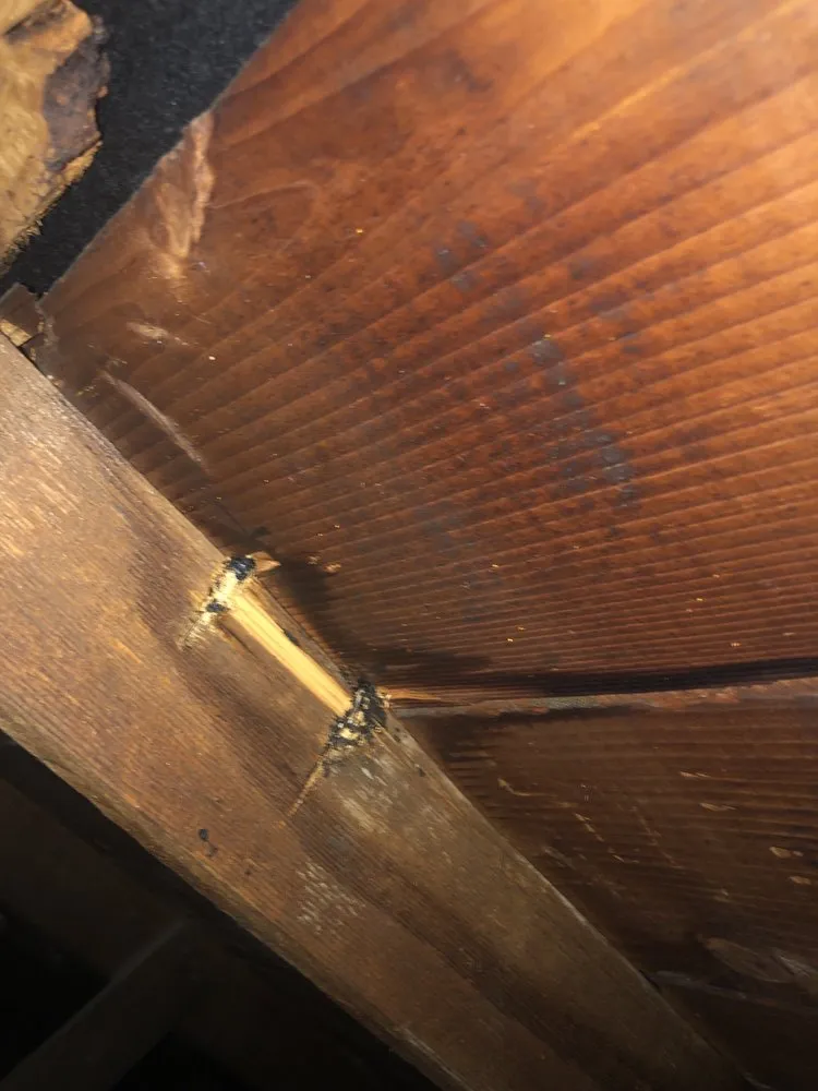 Slide of ANR Roofing