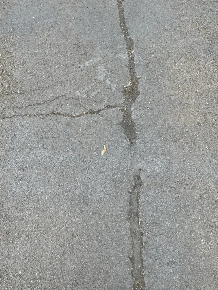 Slide of ANS Roofing and Seal Coating