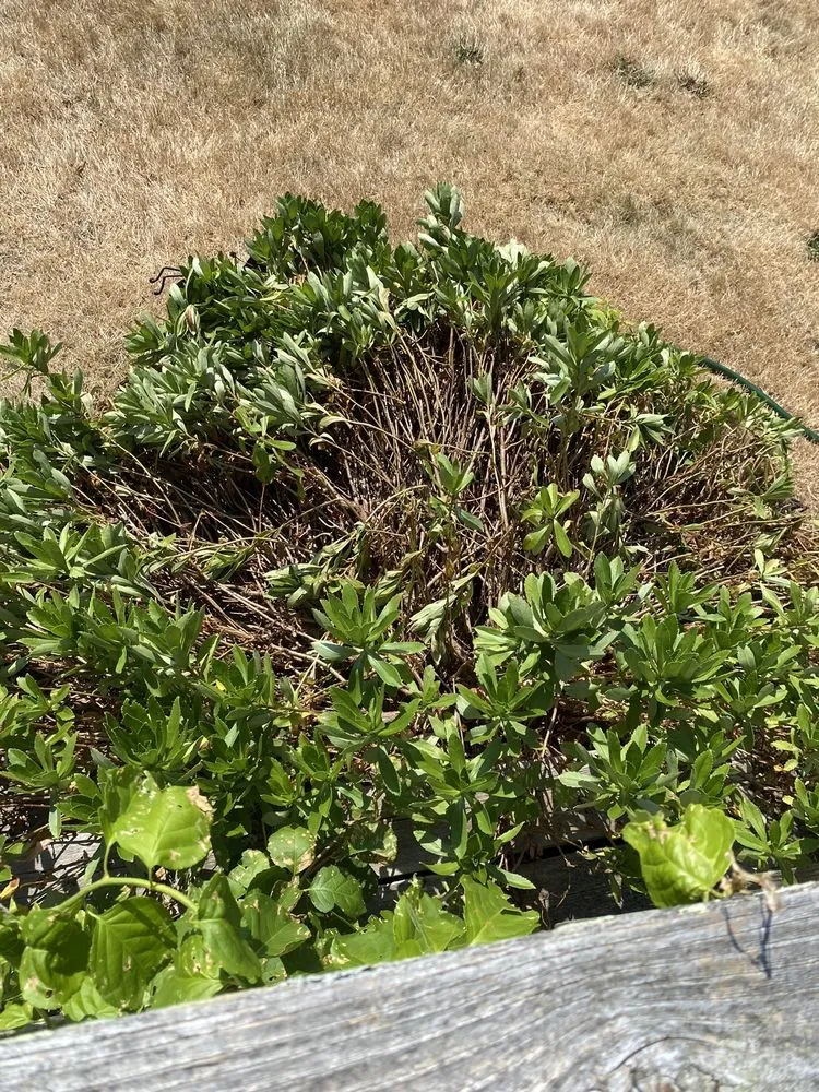 Slide of Ansen Home Improvement Services