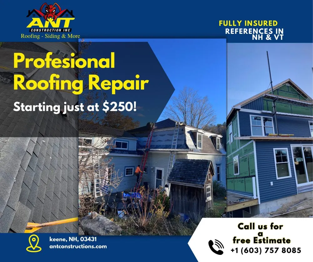 Slide of Ant Construction