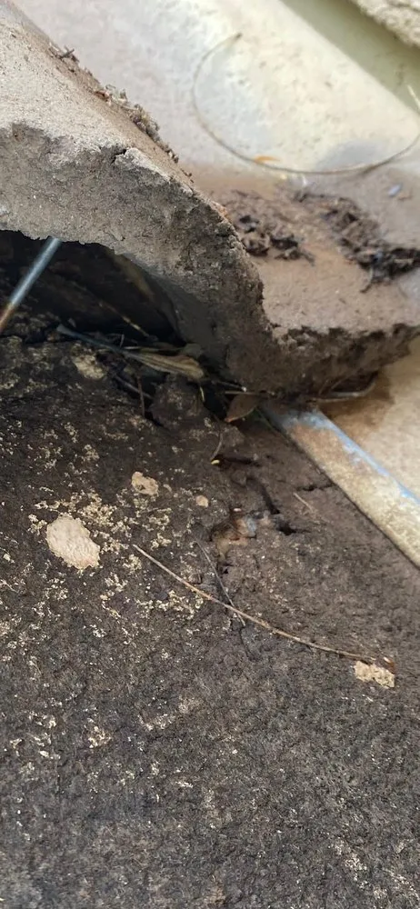 Slide of Anthem Roofing