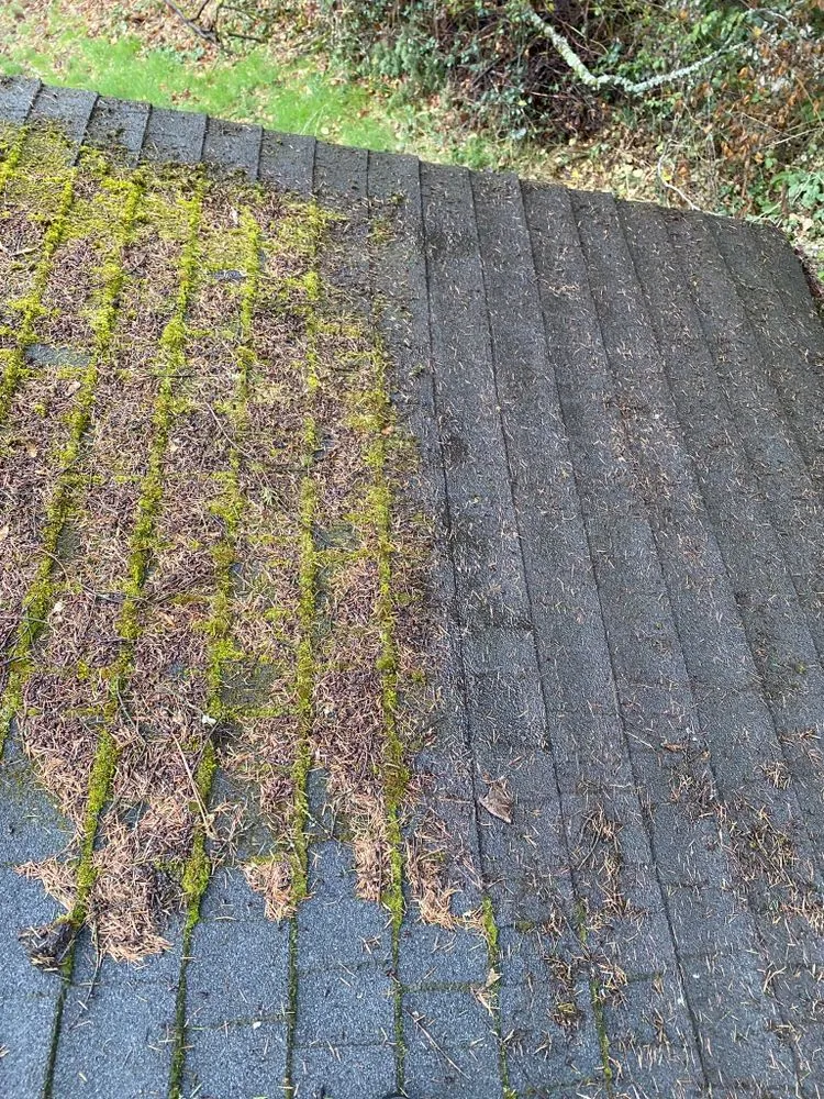 Slide of Anton Pro Wash