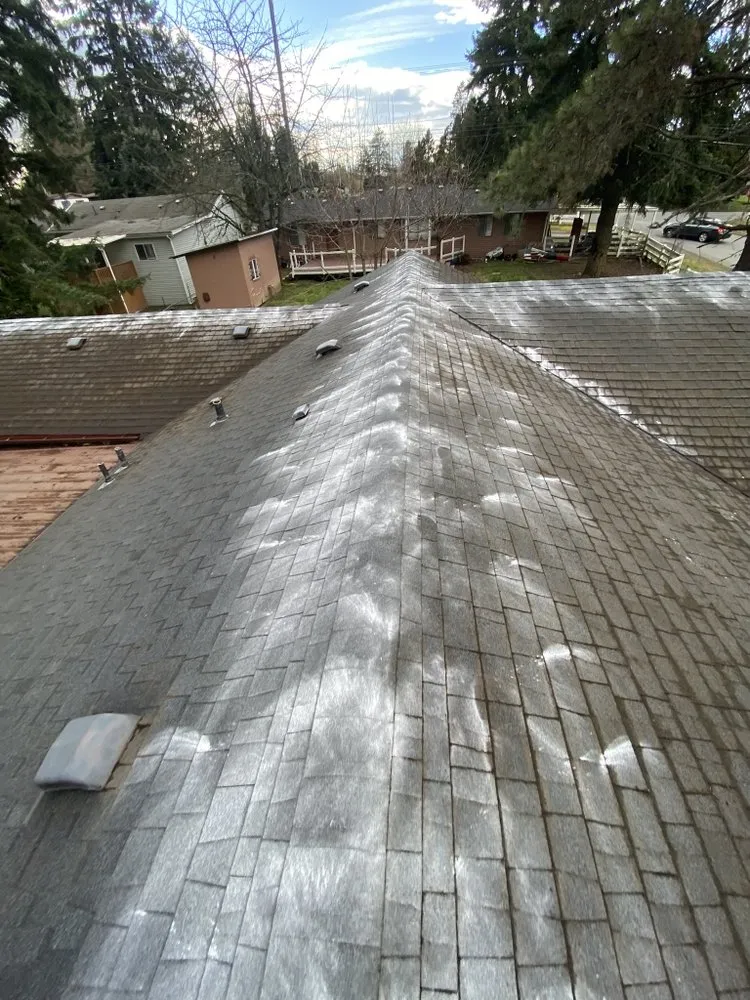 Slide of Anton Pro Wash