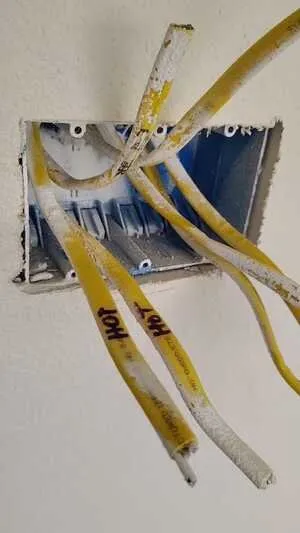 Slide of Antonio The Handyman