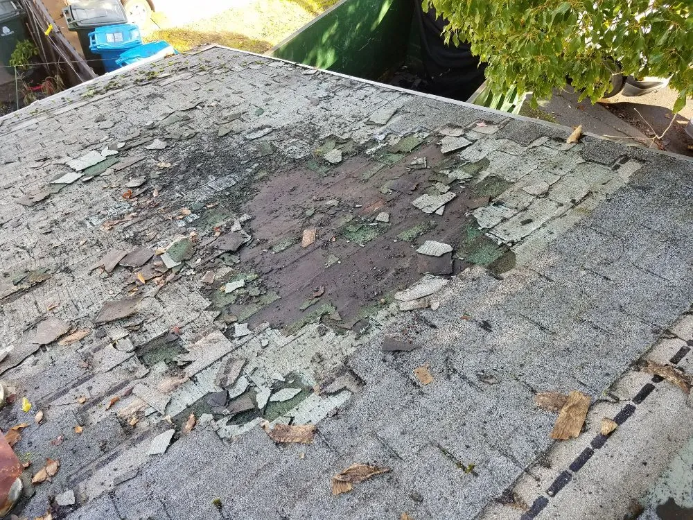 Slide of Antonio's Roofing