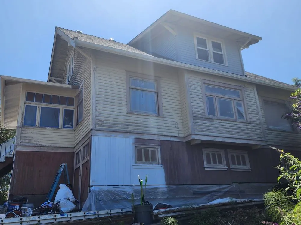 Slide of Ants Painting & Construction